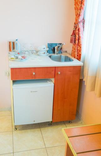 a small kitchen with a sink and a counter at Yiannis Apartments in Ioannina