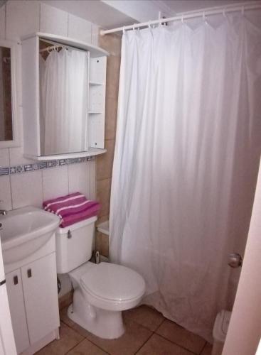 ein Bad mit einem WC und einem weißen Duschvorhang in der Unterkunft D12-7 Depto diario a pasos de la playa Arica in Arica