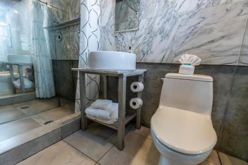a bathroom with a toilet and a sink at Chesterfield Hotel & Suites in Miami Beach