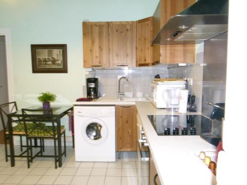eine Küche mit einer Waschmaschine und einem Waschbecken in der Unterkunft Perrache Sainte Blandine in Lyon