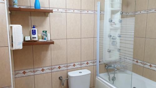 a bathroom with a shower and a toilet and a tub at GREEN VIEW in Sinaia