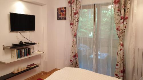 a bedroom with a bed and a tv and a window at GREEN VIEW in Sinaia