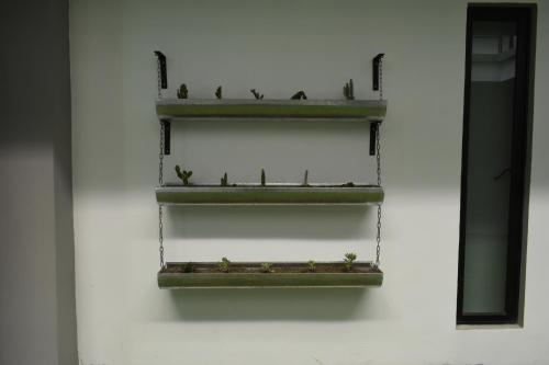 a shelf with plants on it on a wall at TJ Border Suites by Hosted by Me in Tijuana