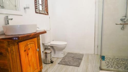 a bathroom with a toilet and a sink and a shower at Ogumka, Self catering , Beoliere, Mahe in Victoria