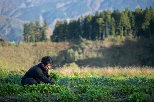 a man is working in a field of crops at Satoyama No Auberge Maki No Oto in Nanto