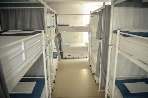 a room with two bunk beds in it at The Lights Hostel in Málaga