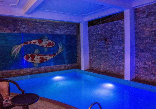 - une piscine dans une maison avec un aquarium dans l'établissement DK's Backpacker Hotel, à Hội An