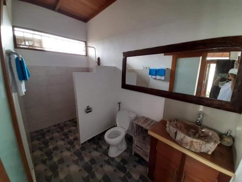 a bathroom with a toilet and a sink and a mirror at Adioga Villa in Ubud