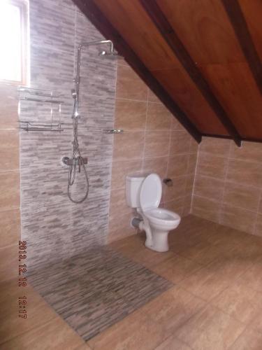 a bathroom with a shower and a toilet at Belle Amie Self Catering in La Digue