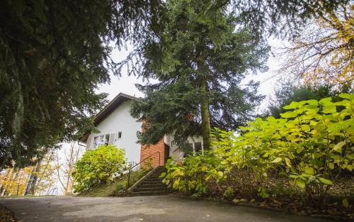 a white house with stairs leading up to it at Old Chestnut Vacation Home in Varaždinske Toplice