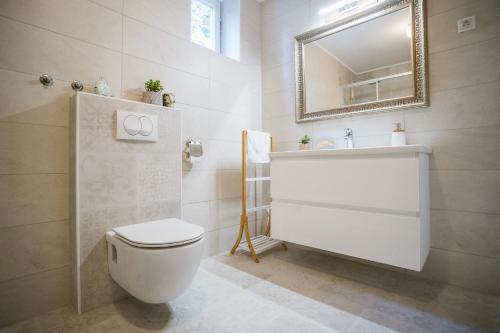 a bathroom with a toilet and a mirror and a sink at Old Chestnut Vacation Home in Varaždinske Toplice
