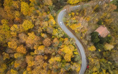an overhead view of a road in a forest at Old Chestnut Vacation Home in Varaždinske Toplice