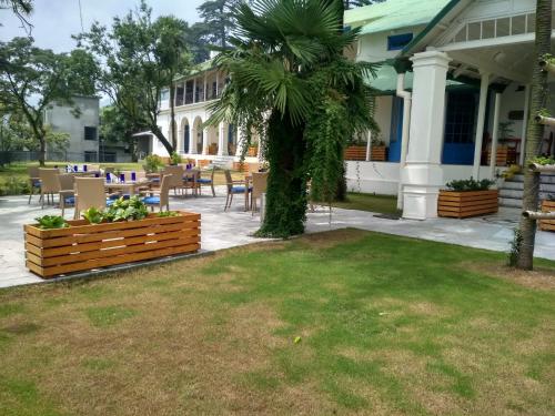a patio with tables and chairs and a palm tree at Hotel Pine Retreat Mallroad in Mussoorie