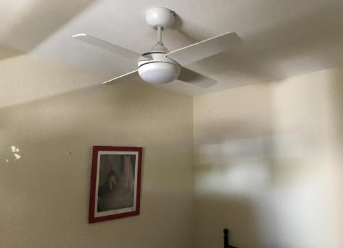 Photo de la galerie de l'établissement Goelands, à Palavas-les-Flots