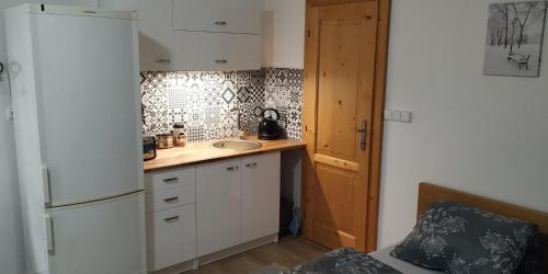 Dapur atau dapur kecil di Ubytování Na Vyhlídce 143