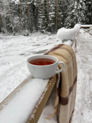 a cup of coffee sitting on a window sill in the snow at IGMA Lodge in Borlänge