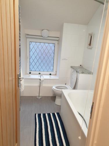 a bathroom with a toilet and a sink and a window at Riverside cottage in Treherbert