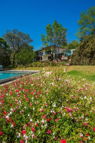 a field of pink and white flowers next to a pool at Vivari Hotel and Spa by Mantis in Johannesburg