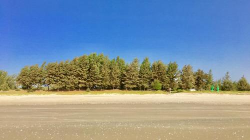 a group of trees on the side of a beach at Le Kibalaou in Cap Skirring