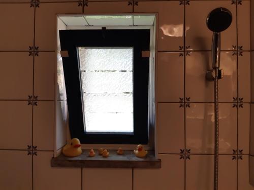 a window in a room with ducks on a shelf at Bed & Breakfast “ Gastvrij onthaal “ in Een-West