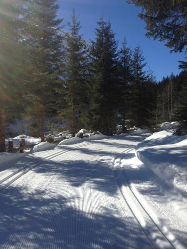 a road covered in snow with trees on it at Gasslihof in Sankt Anton am Arlberg