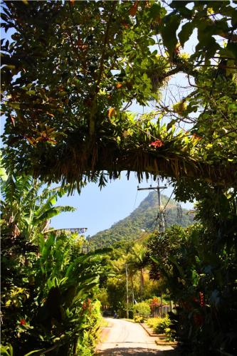 a view from a garden with a mountain in the background at Pousada Riacho Dos Cambucas in Abraão