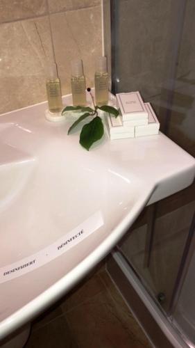 a bathroom sink with a plant on top of it at Academy Hotel in Venus