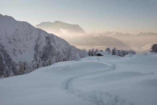 a snow covered mountain with a trail in the snow at Apartment Aschenwald Elisabeth in Ramsau im Zillertal
