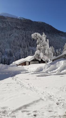 a tree covered in snow in front of a house at Pension Fürhapter mit Bio- Bauernhof in Sankt Jakob in Defereggen
