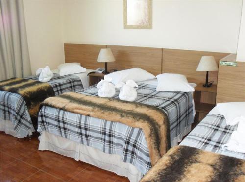 Un pat sau paturi într-o cameră la Parque Hotel de Lambari