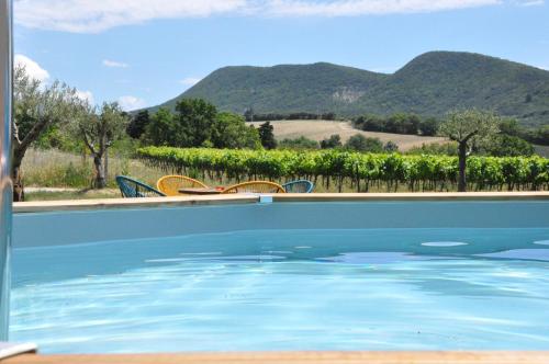 - une piscine avec vue sur un vignoble et les montagnes dans l'établissement Un petit coin de paradis, à Le Péage