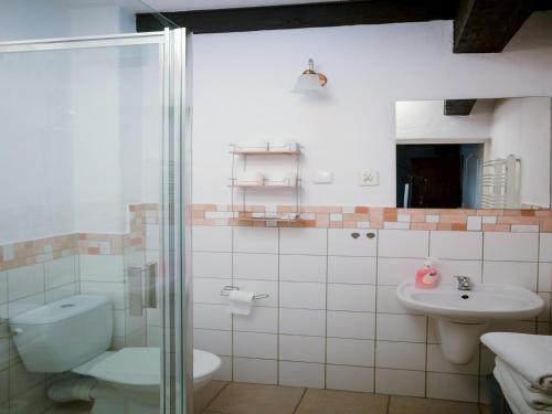 Sobków的住宿－Zamek Rycerski，带淋浴、卫生间和盥洗盆的浴室