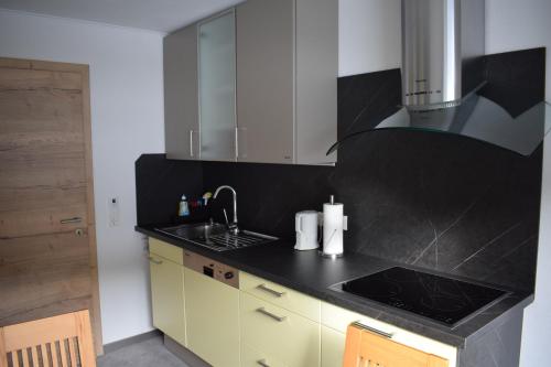 uma cozinha com um lavatório e uma bancada em Apartment Nagiller em Rinn