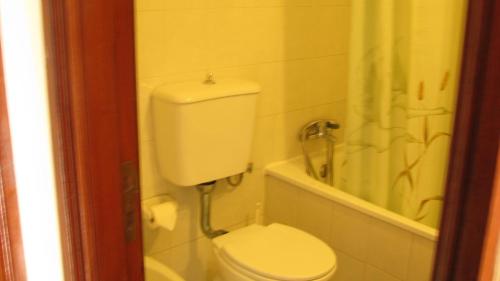 a bathroom with a toilet and a shower at Residencial Porto Novo - Alojamento Local in Porto