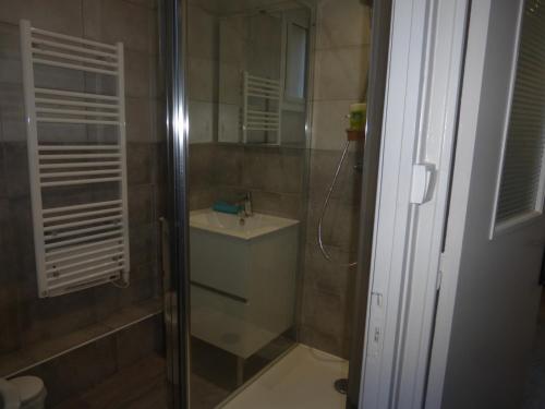 uma casa de banho com um chuveiro e um lavatório. em RÉSIDENCE DES NEIGES 2052 em Le Sauze
