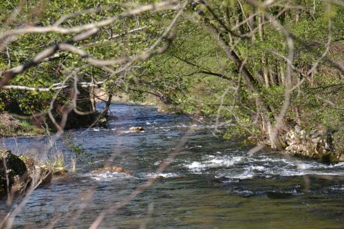 Camping Le Viaduc Ardèche – Photos 5