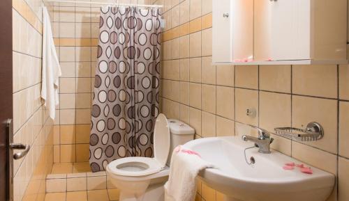 a bathroom with a sink and a toilet and a shower at Villa Pouliezos Apartments in Alikanas