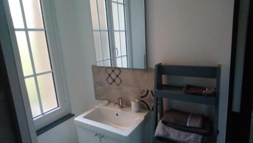 een badkamer met een wastafel en een spiegel bij Le jardin des Écureuils in Démuin