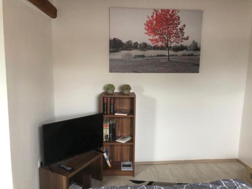 a living room with a flat screen tv and a tree at Studio Apartment in Alsdorf