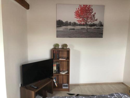 Μια τηλεόραση ή/και κέντρο ψυχαγωγίας στο Studio Apartment