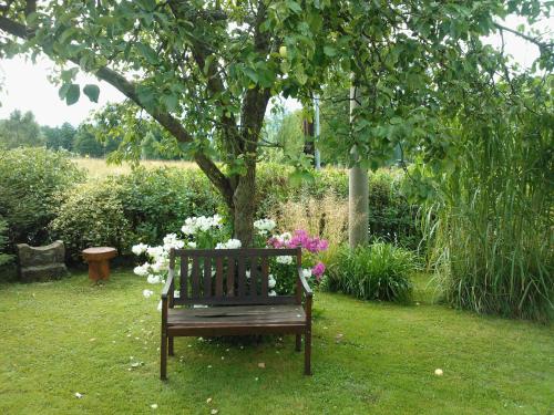 a park bench sitting under a tree with flowers at Pension Laura in Chřibská