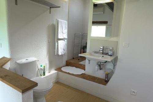 uma casa de banho branca com um WC e um lavatório em Le Cigalon em Grasse