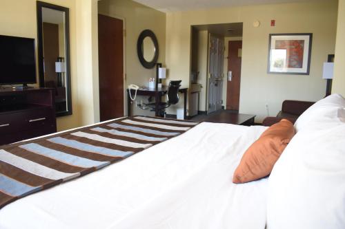 a bedroom with a white bed and a television at Wingate by Wyndham Oklahoma City Airport in Oklahoma City