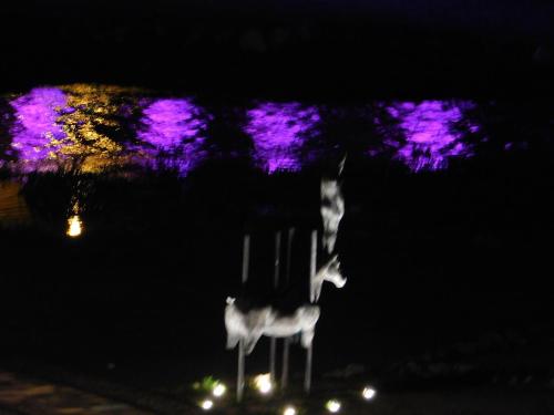 Gallery image of Old Garden in Cosenza