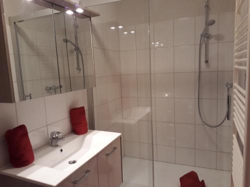 ein Bad mit einer Dusche, einem Waschbecken und einer Dusche in der Unterkunft Sportlerhof in Grünau im Almtal