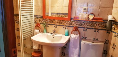 a bathroom with a sink and a toilet at Casa Rural El Colorao in Sotés