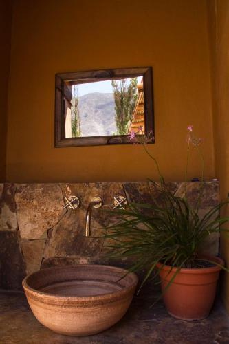 a bathroom with a sink and a mirror and a plant at Cabañas Tilcara Mia in Tilcara