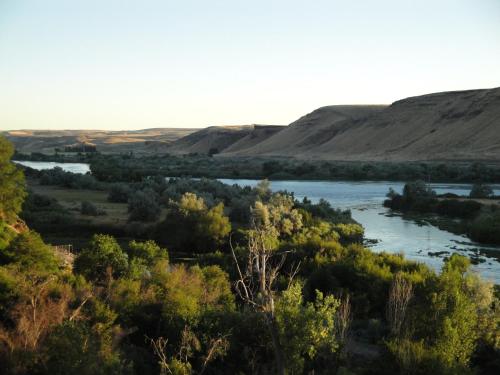 a view of a river with trees and hills at Amber Inn Motel in Bliss