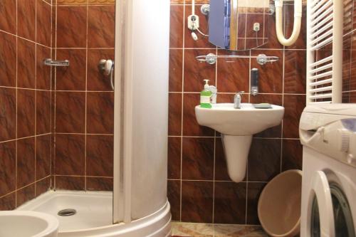 a bathroom with a shower and a sink and a toilet at Apartments Domovik ,Kirilla i Mefodiya, 5 in Mukacheve