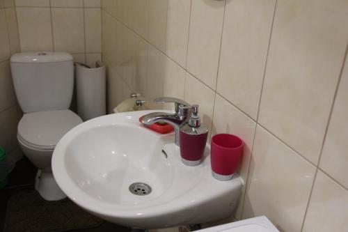 a bathroom with a sink and a toilet at Apartments Domovik ,Kirilla i Mefodiya, 5 in Mukacheve